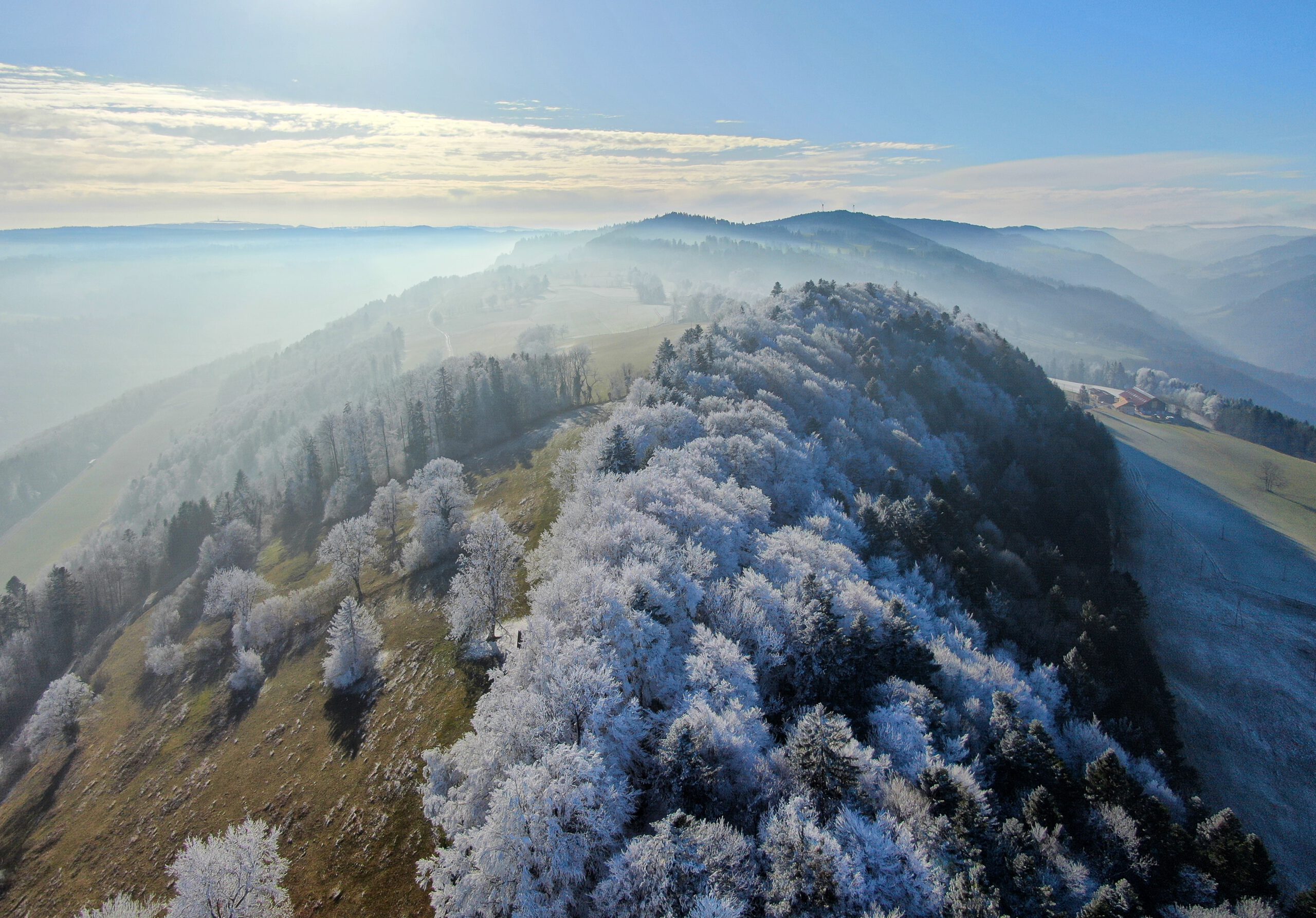 Die hügelige Landschaft vom Jura mit leicht frostigen Bäumen.